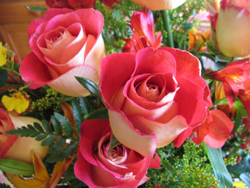 roses_1.jpg