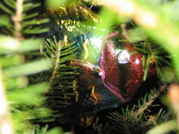 Christmas fish