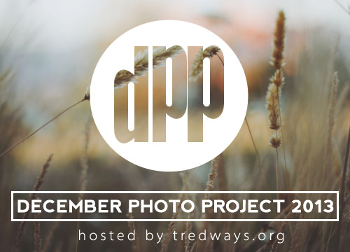 December Photo Project 2013