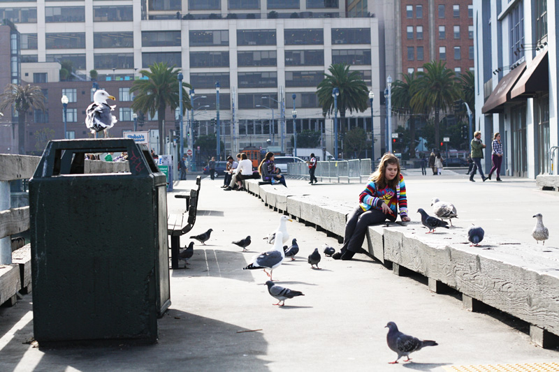sftrip_08