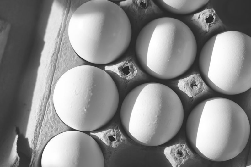 eggs_bw