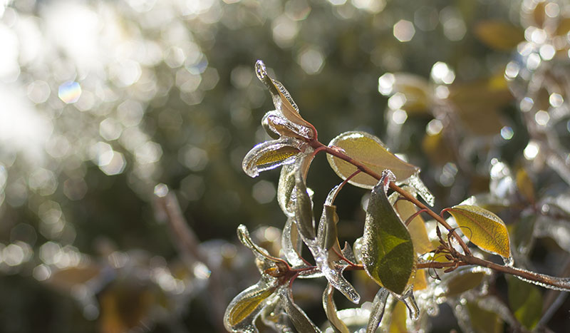 r_ice_sun_04