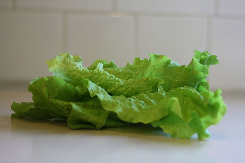 r_lettuce_02