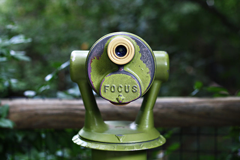 r_zoo_green_focus